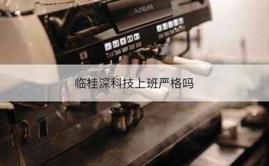 臨桂深科技薪資待遇與工作環(huán)境探析